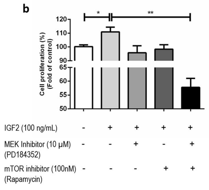 Proliferation after treatment with IGF2 with and without the MAPK and mTOR inhibitors.jpg